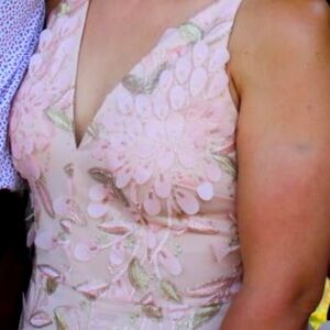 Blush pink embroidered dress